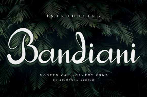 Bandiani: A Dainty Handwritten Font That Elevates Brand Identity