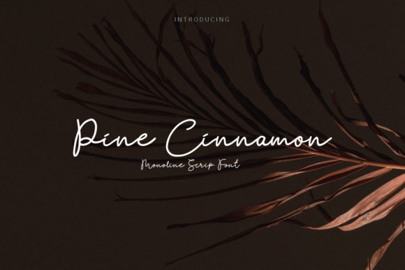 Pine Cinnamon: A Handcrafted Script Font for Warm, Authentic Branding