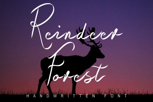Raindeer Forest: A Handwritten Font for Premium Campaigns