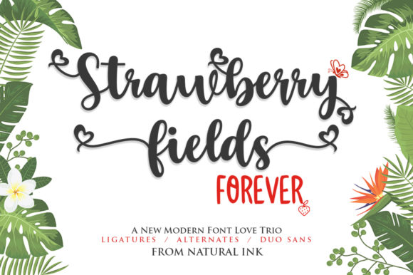 Strawberry Fields Forever: A Designer’s Real-World Font Review